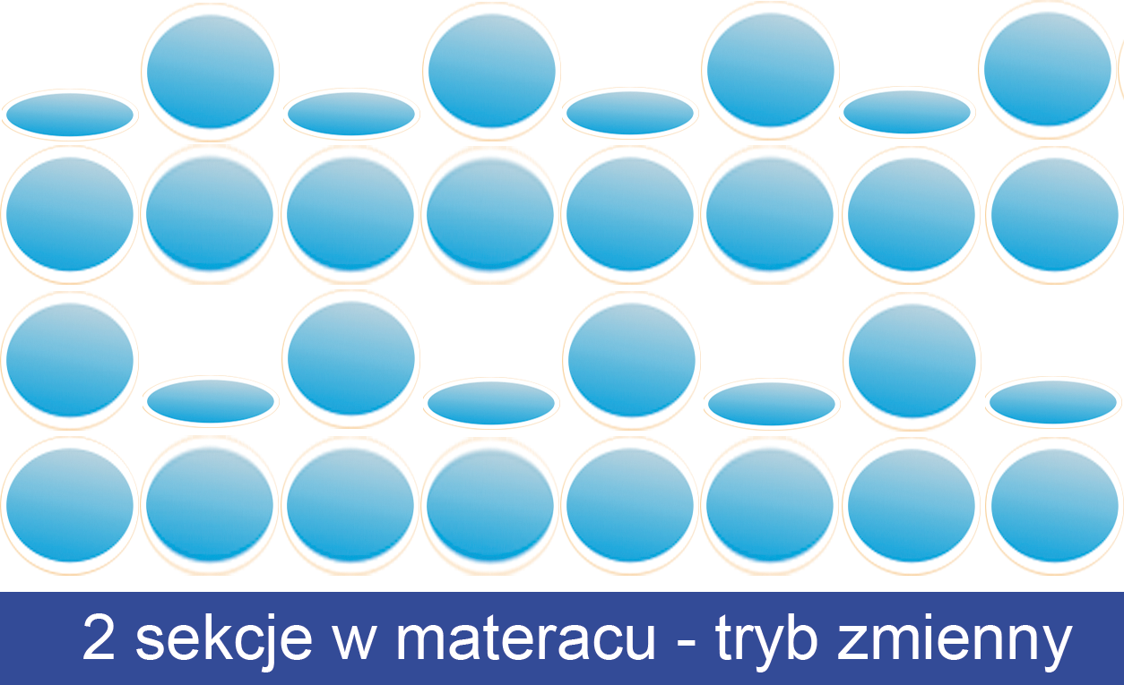 REVITA IDA AB z pompą LUX Materac przeciwodleżynowy