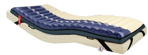 REVITA 500